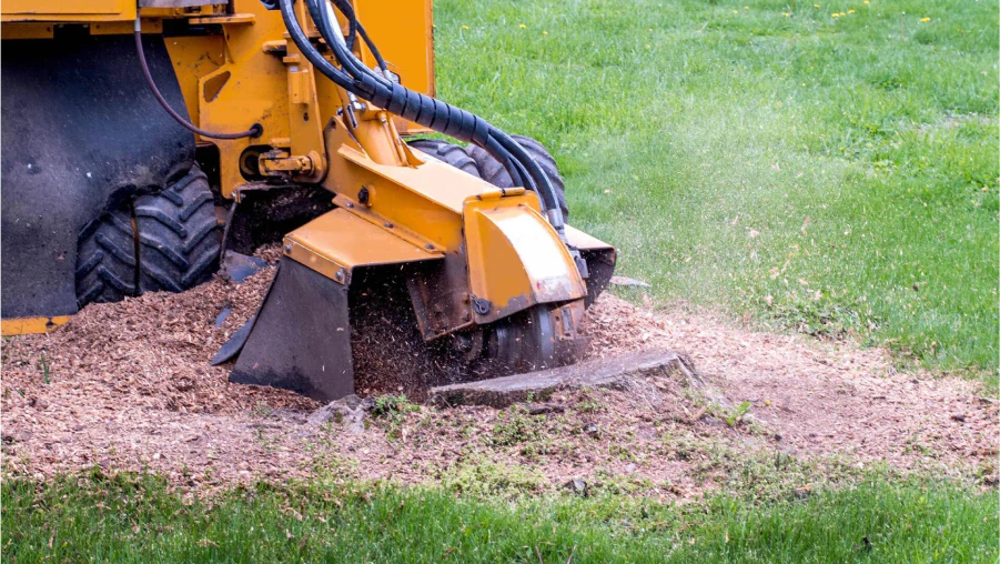 Stump Grinding & Removal 2