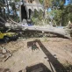 ds tree service llc laurens sc 2025 10 01T17 28 53.318292Z 87244.3954987032