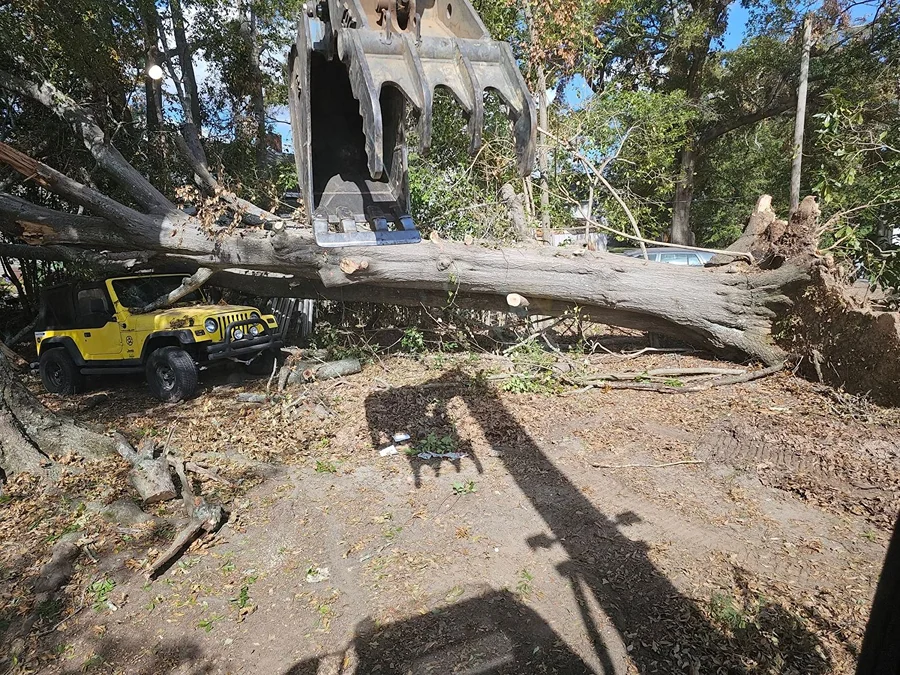 ds tree service llc laurens sc 2025 10 01T17 28 53.318292Z 87244.3954987032 ds tree service llc laurens sc 2025 10 01T17 28 53.318292Z 87244.3954987032