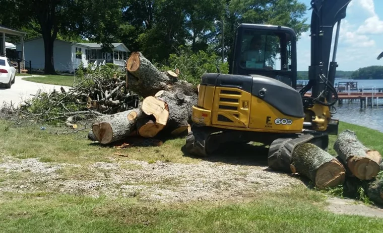 ds tree service llc laurens sc 2025 10 01T17 28 59.347882Z 75737.9874304702