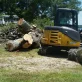 ds tree service llc laurens sc 2025 10 01T17 28 59.347882Z 75737.9874304702